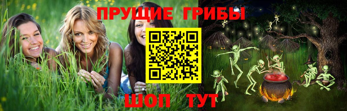 Псилоцибиновые грибы Psilocybine cubensis Нефтекумск